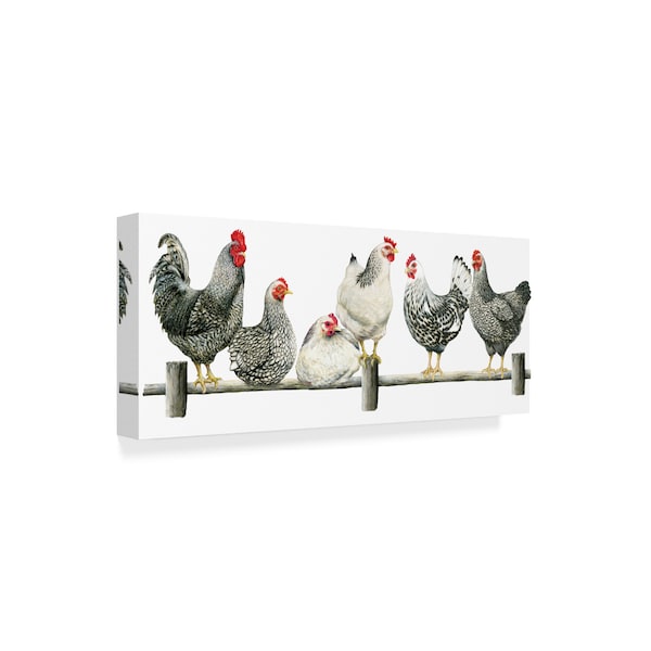 Janet Pidoux 'Hens, White Background' Canvas Art,14x32